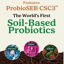 Mejores Días Fórmula ← Avanzado 5-en-1 Gut Support for Bloating, Gas & Irregularity ← Probióticos basados en suelos + Prebióticos, L-Glutamine, Aloe Vera &amp; Más  actuales 60 cápsulas