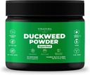 VINATURA Duckweed Powder - Suplemento Dockweed, Superfood Digestive Health, Fiber-Superfood Powder of Wolffia Globosa