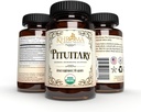 Pituitaria Orgánica Blend - 60 cápsulas Veganas en una botella de vidrio - para el soporte máximo de la pituitaria - por Khroma Herbs