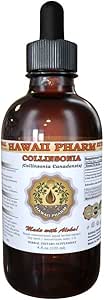 Collinsonia Liquid Extract, Collinsonia (Collinsonia Canadensis) Root Powder Tincture Suplemento 2 oz