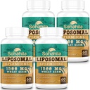 Spermidine Supplement 15 MG - 99% Purity, High Absorption, 1500 MG Fermented Wheat Germ Extract with Zinc & Thiamin, Spermidine for Men & Women - Cellular Renewal, Aging Defense, Energy, 240 Softgels