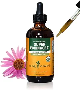 Herb Pharm Certified Organic Super Echinacea Líquido Extracto para Sistema de Inmunización Activa - 4 Oz
