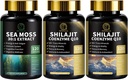 Sea Moss and Shilajit Capsules for Men & Women, All in 1 Supplements with Shilajit, Sea Moss, Coenzyme Q10, Black Seed, Ashwagandha, Burdock for Energy, Antioxidant & Immune Support