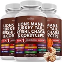 Nuevo AGE Lions Mane Mushroom Suplemento con Turquía Tail Reishi Cordyceps Chaga con Marshmallow Root 180 Conde