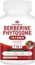Phytosome de 7 en-1 Berberine con canela de Ceylán, Complejo de Berberine admite metabolismo, función del hígado y sistema de inmunidad, no GMO, libre de gluten - 60 cápsulas