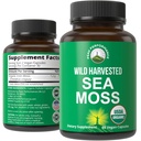 Moss de Mar Orgánico Capsules. Wild Harvested Sea Moss Raw Organic Vegan Supplement from Red Algae Seaweed. 100% entero Extract Raw Irish SeaMoss Superfood Pills. para Gut, Respiratory, Immune Support.