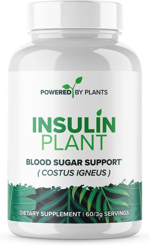 Cápsulas de plantas de insulina - 3000mg Costus Igneus Leaf Powder with No Binders, Fillers & Gluten - Vegan, Non GMO Suplementos para Hombres de Mujeres por Plantas X Powered, 240 Cápsulas