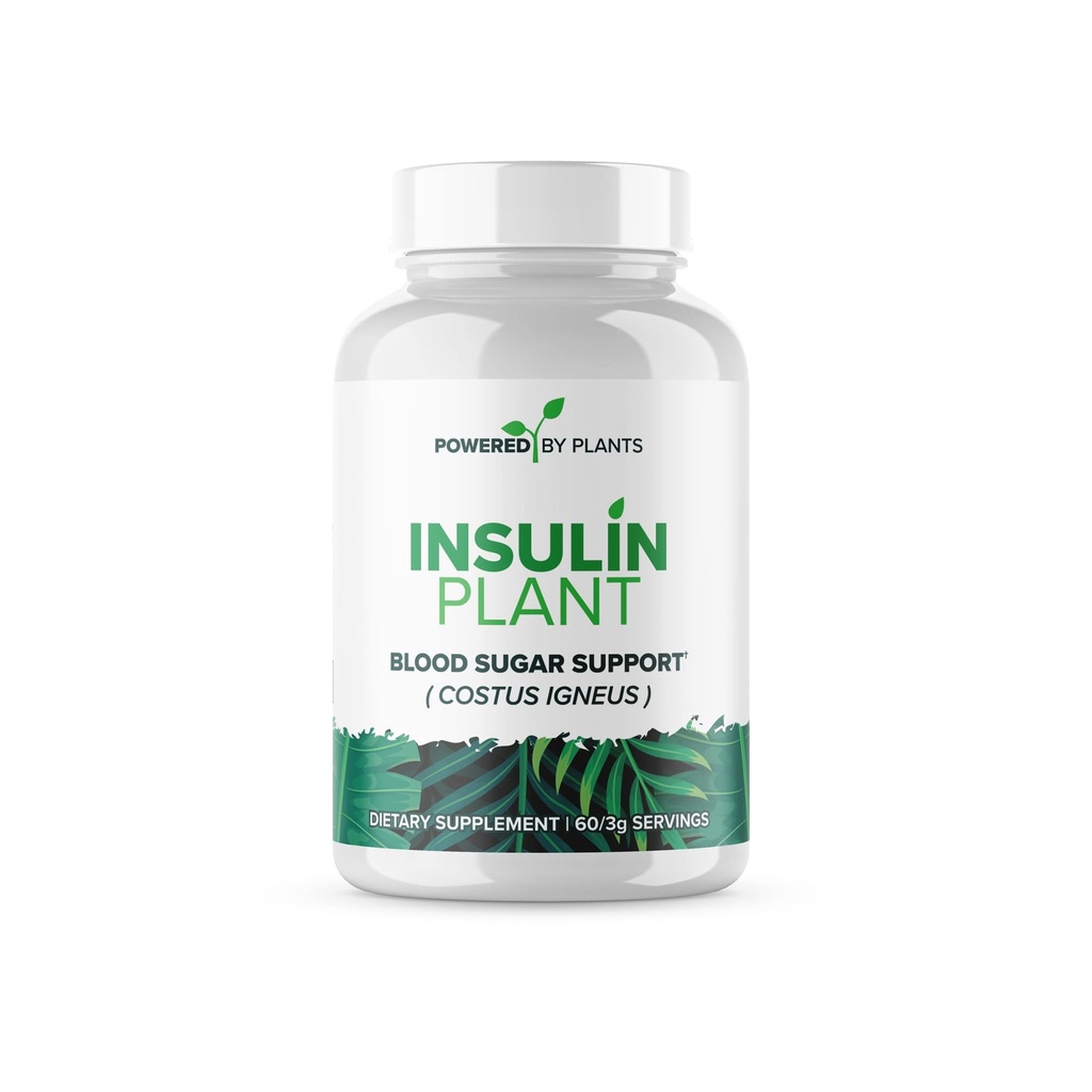 Cápsulas de plantas de insulina - 3000mg Costus Igneus Leaf Powder with No Binders, Fillers & Gluten - Vegan, Non GMO Suplementos para Hombres de Mujeres por Plantas X Powered, 240 Cápsulas