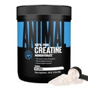 Cretino de Monohidratos de Animales – Cretina Micronizada para Mujeres y Hombres, apoya el crecimiento muscular, fuerza, resistencia, recuperación y producción de ATP, suplementos de gimnasio y entrenamiento - Desflavorado, 300g