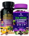 Sea Moss Capsules + Gummies Bundle, 60 Irish Sea Moss Gummies + 120 Ocean Wild SeaMos Capsules with Vitamins and Minerals