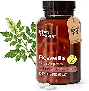 Terapia de plantas Boswellia Extract Capsules Fabricado en EE.UU. 4 Mes Soportes Conjunto Flexibilidad, Confort, Soothes Descomfort y Suplementos de Esquí Saludable para Mujeres &amp; Hombre 120 cápsulas vegetarianas