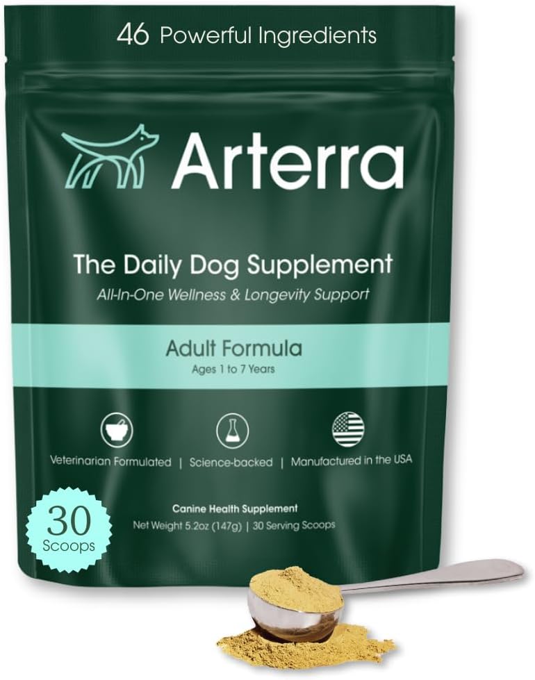 Adult Dog Powder Suplemento &amp; Food Topper – 46 Ingredientes para Gut, Immune & Brain Health – Daily Longevity Multivitamin for Whole Body Wellness TEN 30 Scoops