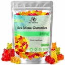 Mar Moss Gummies - Mar irlandés Moss crudo Orgánica, Vejigawrack, Burdock Root. Contiene Moss Mar Gel y Polvo. Superalimentos para Vegan, Keto y Dr Sebi Diet. Immune Boosting (1, Original)