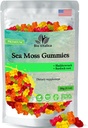 Mar Moss Gummies - Mar irlandés Moss crudo Orgánica, Vejigawrack, Burdock Root. Contiene Moss Mar Gel y Polvo. Superalimentos para Vegan, Keto y Dr Sebi Diet. Immune Boosting (1, Original)