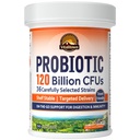 Vitalitown Probiotics 120 Billion CFUs | 36 Strains + Prebiotics + Digestive Enzymes for Men Women | Delayed Release | Shelf Stable | On The Go Digestive & Immune Support | Vegan Non-GMO | 30 Veg Caps
