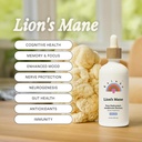 Rainbo - Mane Mushroom de León Tintura - Alcohol Gratis - Dual Extract Mushroom Supplement - Brain Support, Focus, Memory, Liquid Lion's Mane Supplement, Vegan, Non GMO, 3.4 fl oz