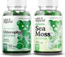 Wild &amp; Organic Chlorophyll Gummies & Sea Moss