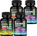 Sea Moss Black Seed Oil Ashwagandha Ginger Capsules,Suplemento con Turmérico y Ginger Suplemento Bladderwrack Burdock Root Organic,ACV Black Seed Oil - 240 Sea Moss Capsules