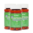 CAW Nano Cycloastragenol 98% 25mg 30 Caps ⋅ Telomerase Activation DNA Reparación Silencio Inmunity Boost Better Absorption ← Capsules Vegetarianos Coados por Entraic (3 Bottles)
