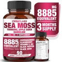 All-in-1 8885mg Sea Moss de alta potencia, Semilla negra, Ashwagandha, Turmeric, Apple Cider Vinegar, Dandelion with Elderberry, Vitamina C & D3 - Immune, Energy Support Supplement - 90 Vegan Capsules