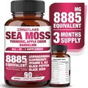 All-in-1 8885mg Sea Moss de alta potencia, Semilla negra, Ashwagandha, Turmeric, Apple Cider Vinegar, Dandelion with Elderberry, Vitamina C & D3 - Immune, Energy Support Supplement - 90 Vegan Capsules