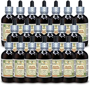 Currante Negro (Ribes nigrum) Tintura, hojas secas Extracto líquido (Marca: HerbalTerra, Proudly Made in USA) 20x4 fl.oz (20x120 ml)