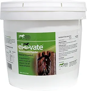 Kentucky Performance Productos Elevate Maintenance Powder, 10 libras, Vitamin E Horse Supplement