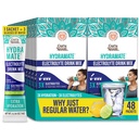 GuruNanda Hydramate Hydration Support Drink Mix - Electrolyte Powder Packets for Dehydration, Exercise & Energy - No Añadido Sweeteners, Non-GMO, Natural Lemon Lime Flavor - 48 Conteo (0,56 oz Cada uno)