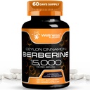 WELLNESS LABSRX Berberine Supplement 15,000mg - Berberine with Ceylon Cinnamon, General Wellness Support Capsules - 120 Capsules (Pack of 1)