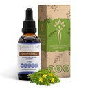 Secretos de la Tribu Chaparral Extracto líquido libre de alcohol, Chaparral (Larrea tridentata) Leaf seco y Suplemento de Tintura de flores (2 FL OZ)