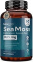 Sea Moss ← Irish Sea Moss Capsules with Bladderwrack, Burdock Root & BioPerine for Absorption. Prebiótico &amp; Apoyo Inmunitario tención 90 Days Supply - 180 Capsules