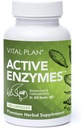 Plan Vital Active Enzymes Suplemento del Dr. Bill Rawls - Enzymes Digestivos para Gut Health " Digestion - Protease, Bromelain, Lactase, Amylase " Lipase (120 cápsulas)