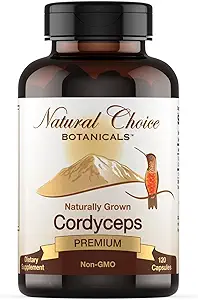 Orgánica Cordyceps Mushroom Suplemento - 120 cápsulas
