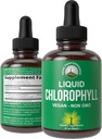 Chlorophyll Liquid Drops - Ultra High Purity, Alcohol Free, Non-GMO, Gluten Free Liquid Chlorophyll Drops Supplement. Toma con Agua. Desodorante interno + Cuidado de la piel, Apoyo inmunitario y digestivo