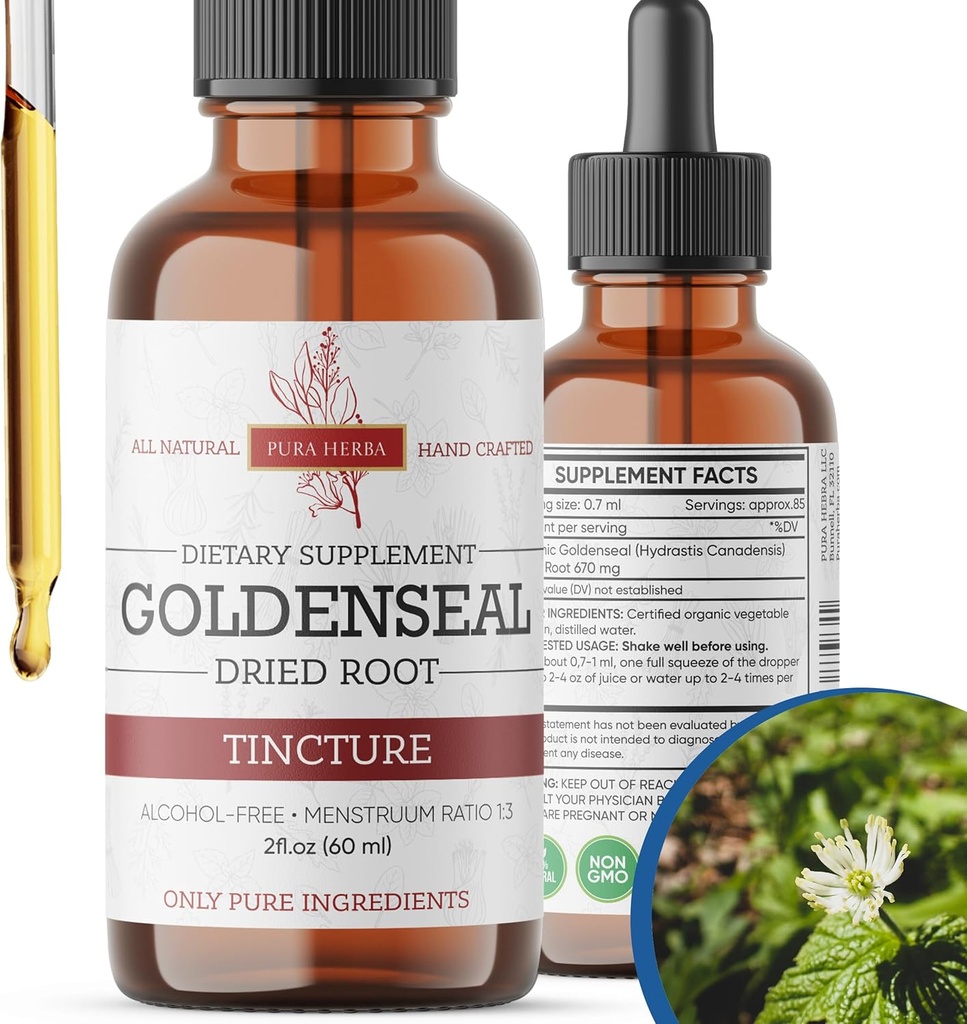 Goldenseal Tincture | Premium Alcohol-Free Herbal Extract from Goldenseal Root | Liquid Botanical Supplement | Traditional Herbal Formula | Made in USA - 2 oz (60 ml)