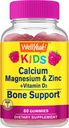 Calcio, Magnesio, Zinc + Vitamina D3 Gummies by WellSí ← Bone, Muscle y Nerve Health Support, Immune Support Silencio para Hombres y Mujeres TEN Gluten Free, Non GMO ← Raspberry Flavor Silencio 60 Conde