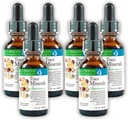 Morter Trace Minerals in Colloidal Suspension (6 Pack) Morter HealthSystem Best Process Alkaline — Nutrient Dense Trace Elements, Fulvic Minerals & Amino Acids