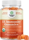 Natures Artesanía Vegan Orgánica Immune Soporte Gummies - D3 Zinc y vitamina C Gummies para adultos Inmunidad - Vitamina Orgánica D para adultos Apoyo Inmunitario Suplemento Gluten Libre &amp; No GMO (60 Servings)