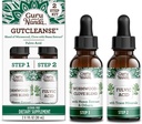 GuruNanda Gutcleanse 2-Step Kit - Suplemento dietético para ayudar con la digestión - Blend of Fulvic Acid, Wormwood, Clove & Neem Extract, 2x1 FlOz