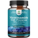 Vitamina B3 Niacinamide 500mg Capsules - Suplemento Mitocondrial de Energía y Potent - AKA Vitamina B3 Niacina 500mg Flush Gratis y Nicotinamide 500mg - Flush Free Niacin Suplemento - 240 Conde