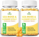 Sea Moss Gummies for Adults and Kids, 2000mg Raw Seamoss, Bladderwrack, Burdock Root, Elderberry, Pepper, Vitamin C & D3, Zinc Supports Immune System & Boost Energy (2-Pack)