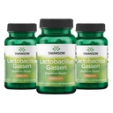 Swanson Lactobacillus Gasseri - Suplemento Probiótico Apoyo Digestivo Salud con 3 Billones CFU - Design-Release Satiety & Fat Metabolism Support - (60 Veggie Capsules) 3 Botellas