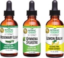 Botanic Choice Lemon Balm, Rosemary Leaf, &amp; Gymnema Sylvestre Extractos Bundle – Daily Global Wellness Kit for Balanced Sleep, Immune System Boost, Better Focus, & Mejor bienestar (1 fl. Oz. Cada)