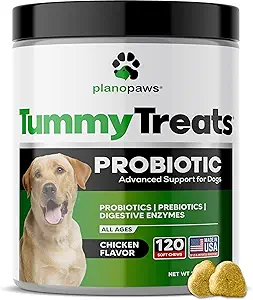 Probióticos para perros Salud Digestiva - Probióticos para perros y enzimas digestivas - Alivio de alergia para perros - Probiótico para perros Gut Health - Puppy Probiótico Tummy Treats - 120 Perro Probiótico