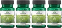 Óleo de orégano Swanson 10:1 Extracto - Suplemento Natural Promoción de la Salud Digestiva " Apoyo respiratorio - Apoyo Sistema Gastrointestinal " Salud del tracto urinario - (120 Softgels, 150 mg cada uno) (4 Pack)
