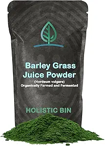 Holistic Bin Organic Barley Grass Juice Powder - 100% Pure USDA Organic - Fermented with 35 Probiotic Strains - Nutrient-Dense Green Superfood for Smoothies - Supports Digestion - 30 Day Supply (50g)