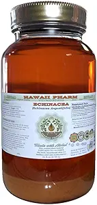 Extracto líquido libre de alcohol, Echinacea (Echinacea Angustifolia) Ratón seco Glicérite Hawai Pharm Natural Herbal Suplemento 32 oz Unfiltered