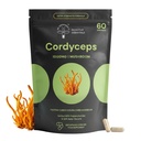 Dr Sosnowski's BioActive Cordyceps Mushroom Capsules  1000mg High Strength Cordyceps Extract for Daily Support (120 Capsules)