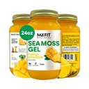 MAX FIT Sea Moss Gel Raw (12 Sabores) 24oz Wildсrafted Gold Sea Moss Gel de Santa Lucía ← 92 Vitaminas y Minerales latitud Pure Raw+Non-GMO ← Vegan Superfood