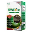 LABO Nutrition Brazilian Green Propolis Ultimate - Contiene √7% o 28mg por Serving Artepillin C & √5% Flavonoids, para Immune &amp; Brain Support, Natural, High Concentrate & Premium, 60 Veg Capsules